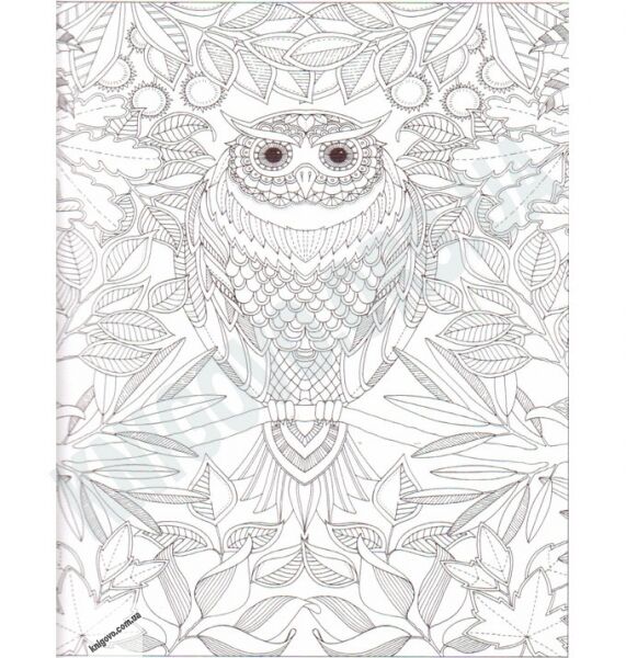 Чарівний сад 20 листівок Авт: Басфорд Дж. Вид-во: Видавництво Старого Лева - фото 2