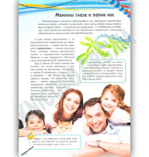 Моя первая книга о человеке Серия Интересный мир Изд: Пегас - фото 2