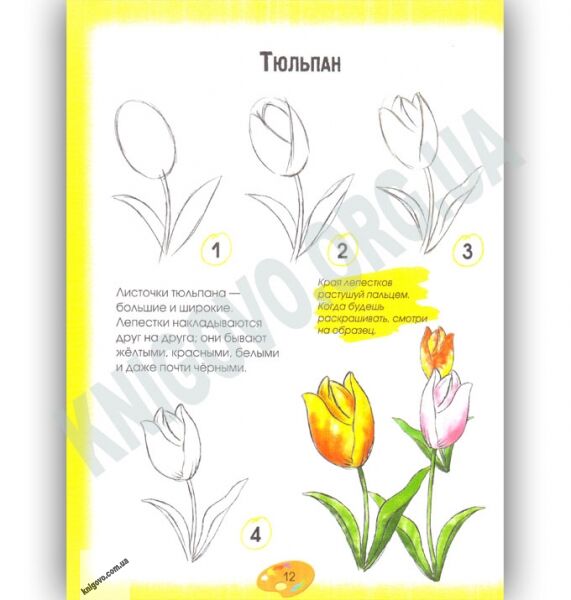 Школа рисования Авт: Марина Антипова Изд: КМ БУКС - фото 3