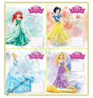 20 зошитів 18 аркушів Клітинка Серія Princess Вид Ranok - Шкільні зошити та словники