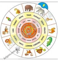 Обертайка Вивчаємо англійську Тварини Африки Вид: УЛА Обертайка Вивчаємо англійську Тварини Африки Вид: УЛА - Вивчаємо іноземну мову