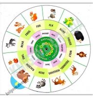 Обертайка Вивчаємо англійську Лісові тварини Вид: УЛА Обертайка Вивчаємо англійську Лісові тварини Вид: УЛА - Вивчаємо іноземну мову