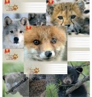 25 зошитів 12 аркушів Лінія Серія Лісові друзі 82170 Вид: Тетрада - Шкільні зошити та словники