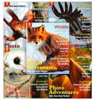 10 зошитів 96 аркушів Клітинка Серія Звірі 81770 Вид: Тетрада - Шкільні зошити та словники