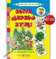 Квіти дерева кущі Демонстраційні картки Дітям про все на світі НУШ Авт: Давидов Г. Корнєєва О. Вид: Підручники і посібники - Вихователю ДНЗ