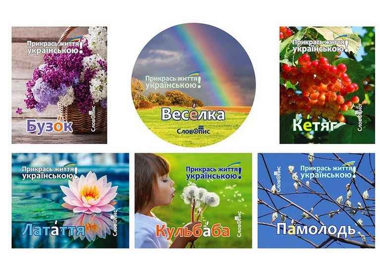 Прикрась життя українською. Барвинки АССА - фото 2