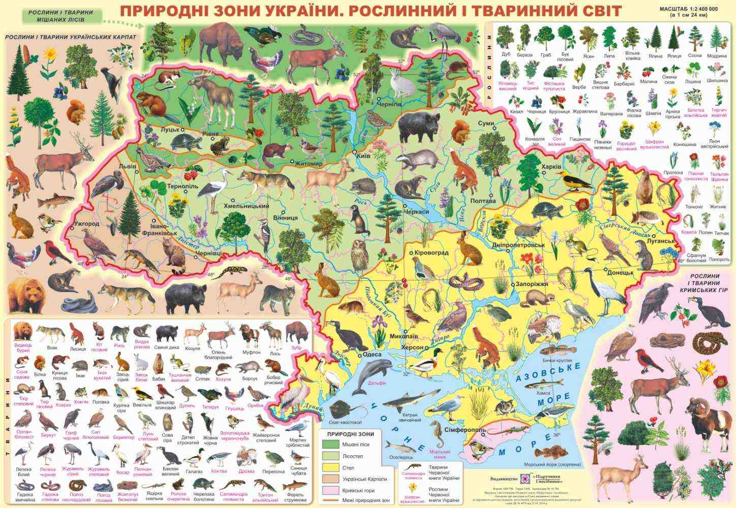 Природні зони України Рослинний і тваринний світ Плакат Кравчук М. Підручники і посібники - Оформлення предметних кабінетів