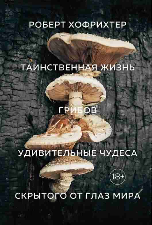 Таинственная жизнь грибов Удивительные чудеса скрытого от глаз мира Колибри Таинственная жизнь грибов Удивительные чудеса скрытого от глаз мира Колибри - Довідники з Біології