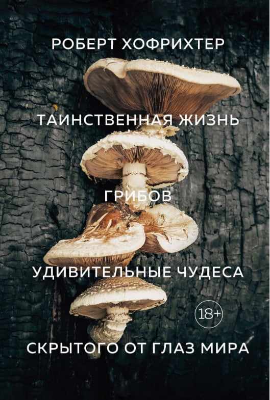 Таинственная жизнь грибов Удивительные чудеса скрытого от глаз мира Колибри - фото 1