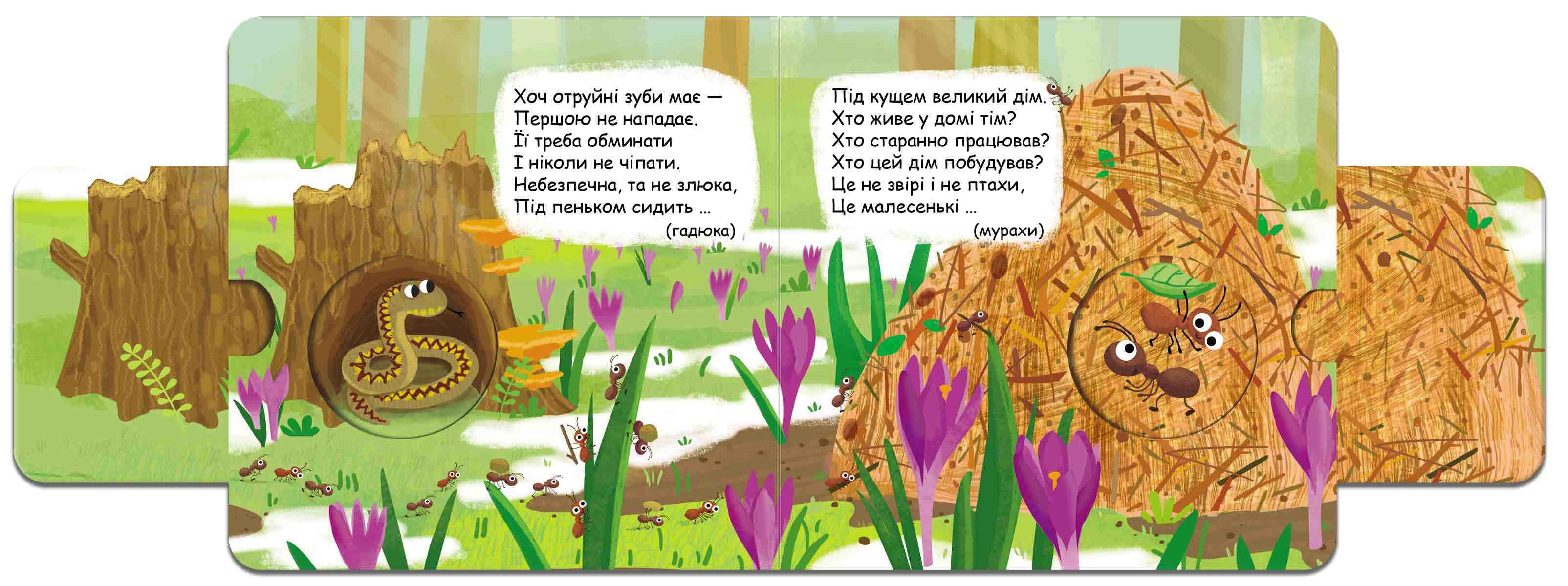 Книжка-схованка Хто сховався у лісі Федієнко В. Школа - фото 3