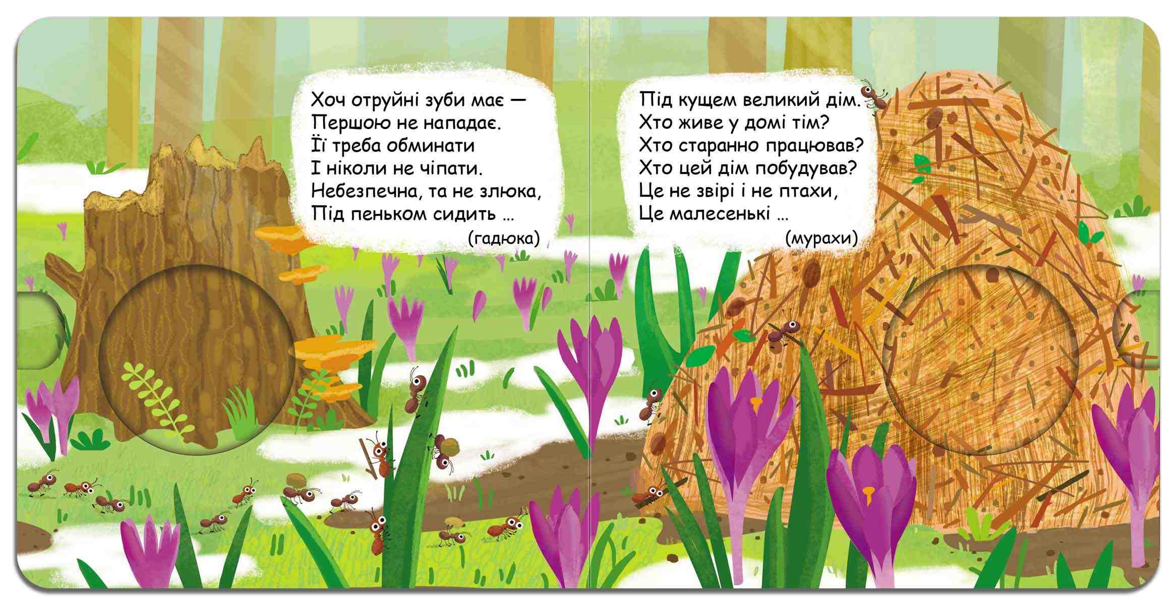 Книжка-схованка Хто сховався у лісі Федієнко В. Школа - фото 2
