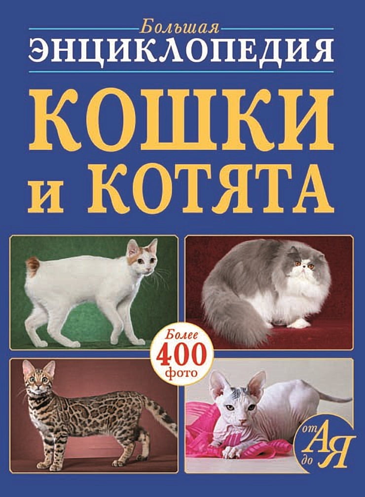 Большая энциклопедия. Кошки и котята от А до Я - енциклопедія для дошкільнят