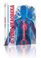 О теле человека