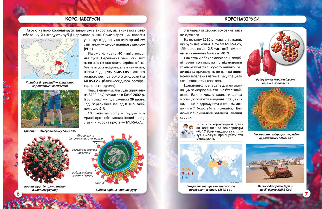 Світ навколо нас. Віруси - фото 2