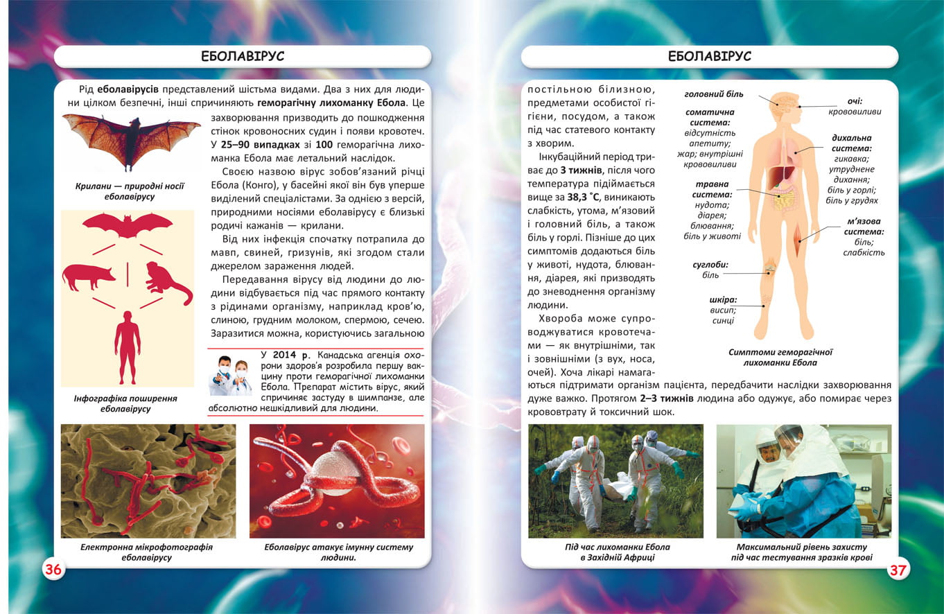 Світ навколо нас. Віруси - фото 3