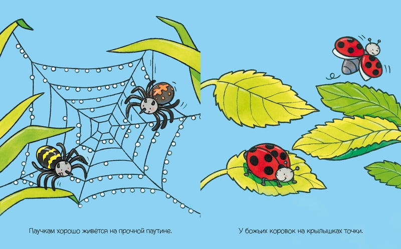 На полянке - фото 4