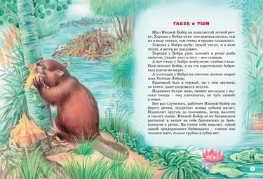 Большая книга сказок. Виталий Бианки - фото 2