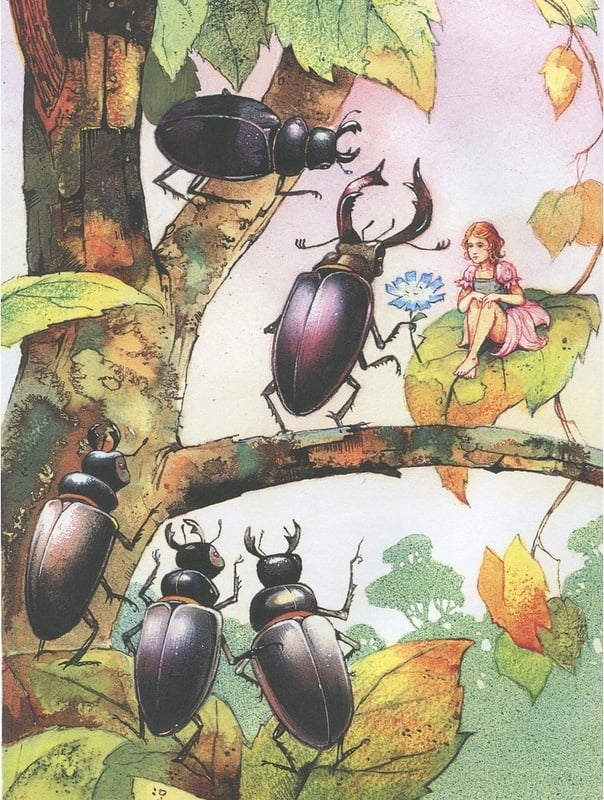 Казки. Ілюстрації Джон Пейшенс - фото 6