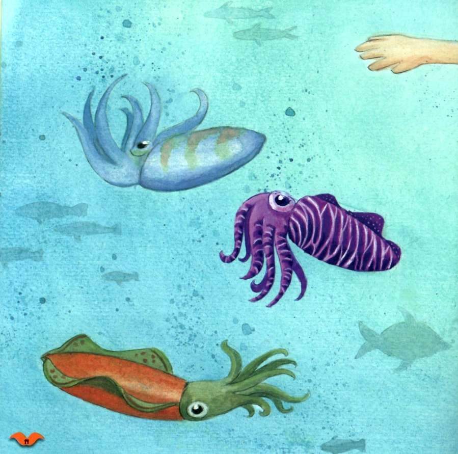 Дізнавайся про світ разом із нами! Кольори у світі тварин Кенгуру Алехандро Альгарра Ранок - фото 2