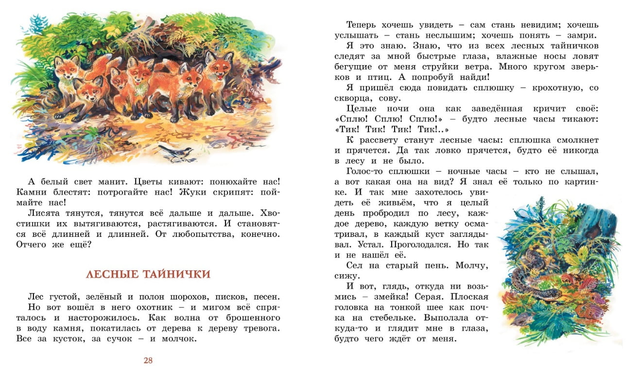 Лесные тайнички - фото 4