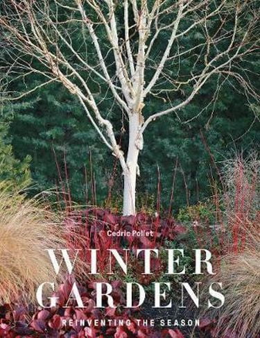 Winter Gardens - фото 1