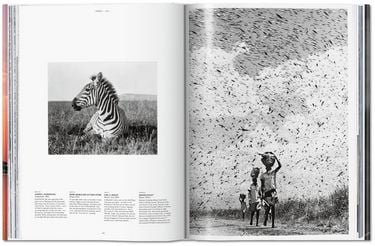 Nat Geo, Africa - фото 2