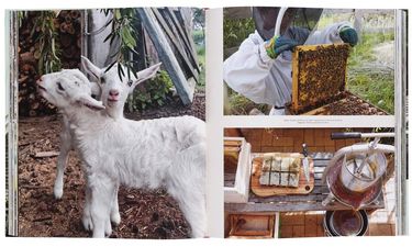 Farmlife - фото 3