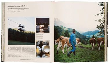 Farmlife - фото 4