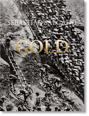 Salgado, Gold - фото 1