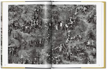 Salgado, Gold - фото 2