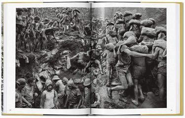 Salgado, Gold - фото 4