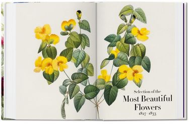 Redout?, Book of Flowers - фото 6