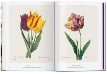 Redout?, Book of Flowers - фото 7
