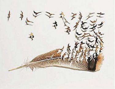 Alchemy - фото 5