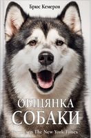 Обіцянка собаки