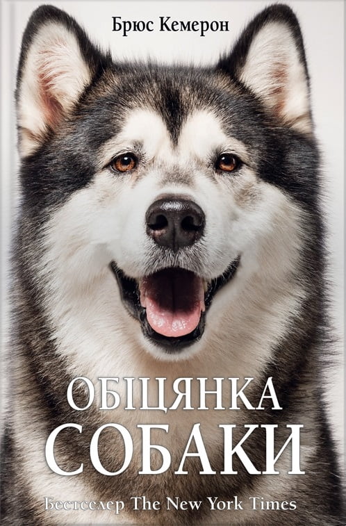 Обіцянка собаки - фото 1