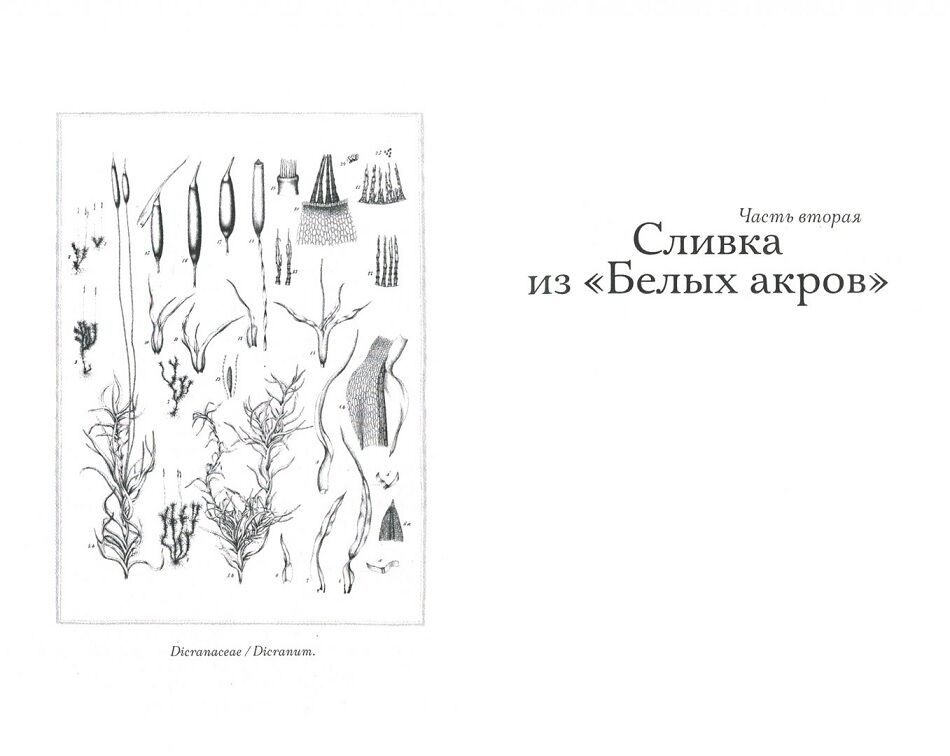 Происхождение всех вещей - фото 4