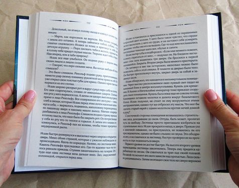 Слон для Карла Великого - фото 2