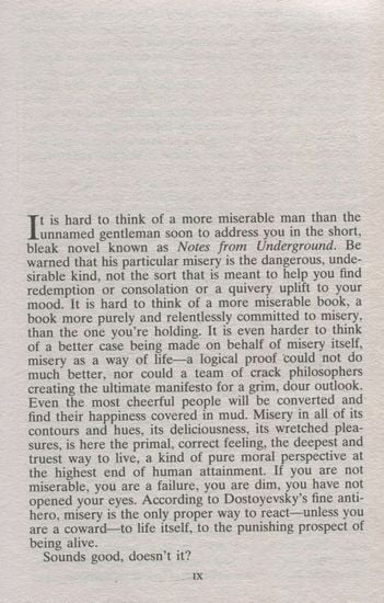 Notes From Underground - фото 4