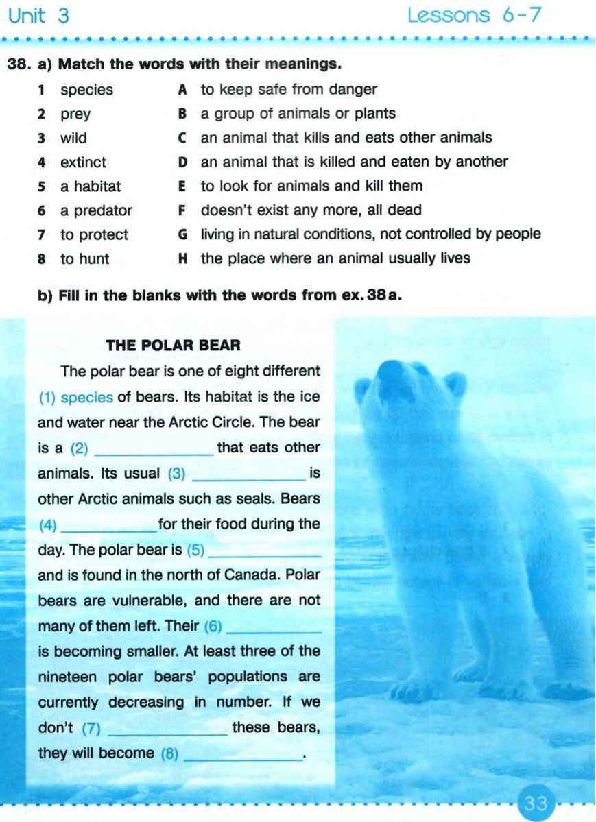 Англійська мова 9 клас 9 рік навчання Робочий зошит до підручника Несвіт А. Косован О. Підручники і посібники - фото 3