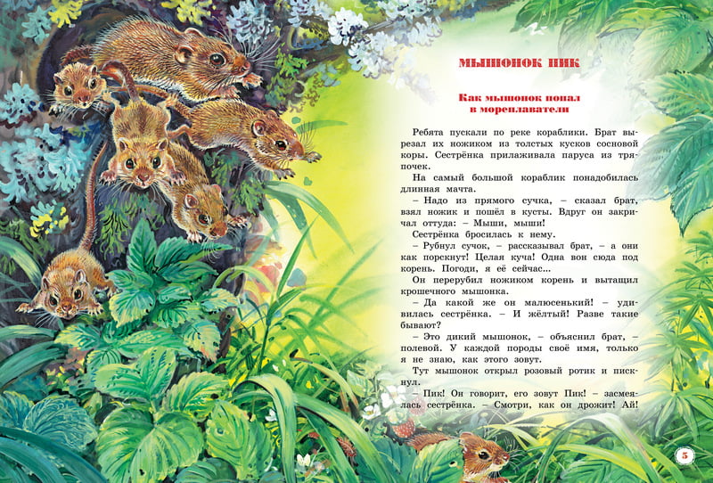 Большая книга рассказов. Виталий Бианки - фото 2