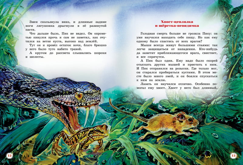 Большая книга рассказов. Виталий Бианки - фото 6