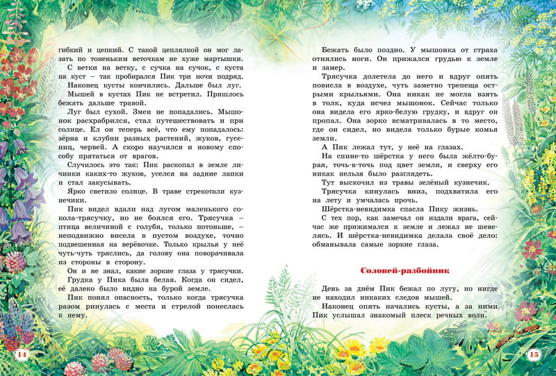 Большая книга рассказов. Виталий Бианки - фото 7