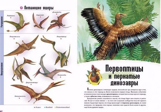 Энциклопедия динозавров (мелованная бумага) - фото 2