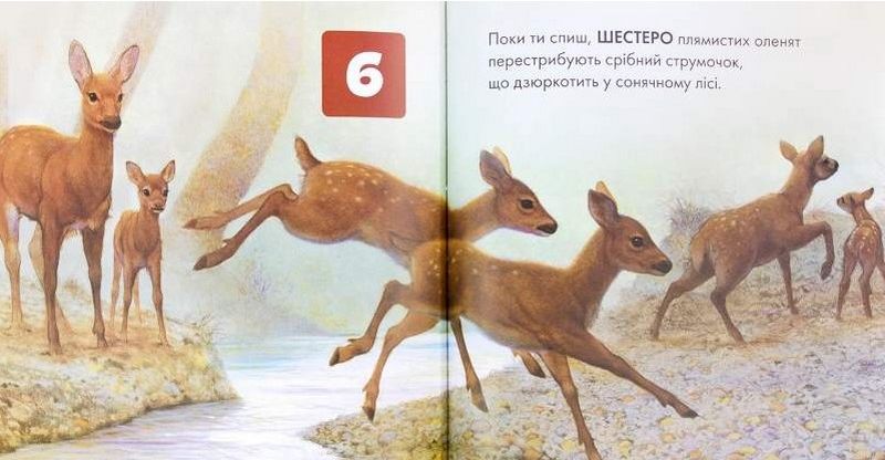 Поки ти спиш… - фото 2