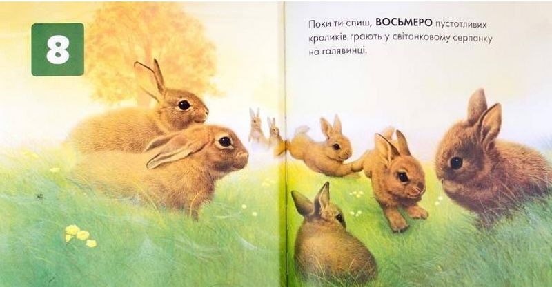 Поки ти спиш… - фото 3