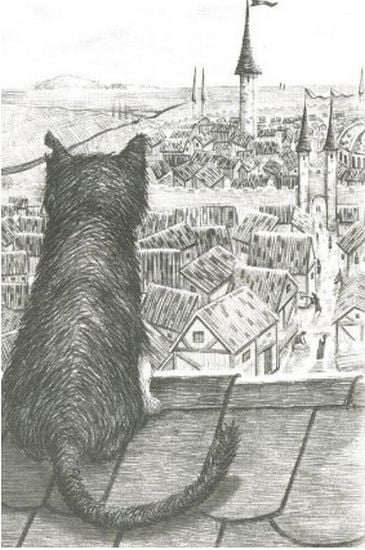 Фамильяры. Книга 1. Трое против ведьмы - фото 2