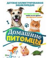 Домашние питомцы - Новорічна Україна