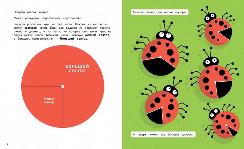 Круги и окружности - фото 4