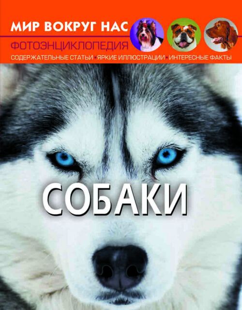 Собаки - фото 1